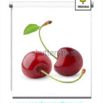 estores digitales para cocina