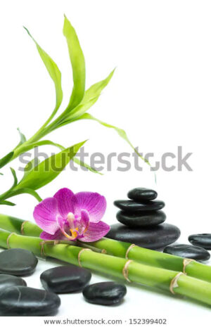 ESTOR ZEN