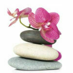 imagen para estor de baño